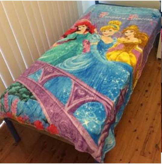 Princess King Single Mink Blanket UpTown Kids